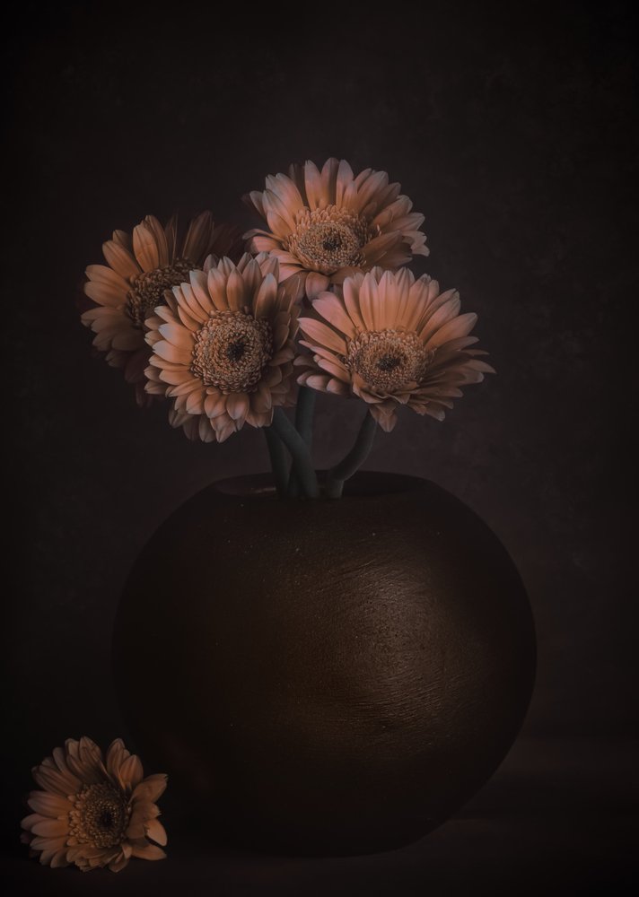 Stimmungsvolle Pfirsich-Gerbera von Cicek Kiral