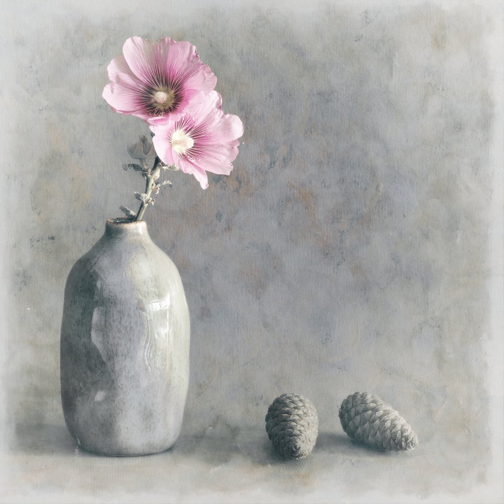 Rosa Stockrose-Stillleben von Cicek Kiral