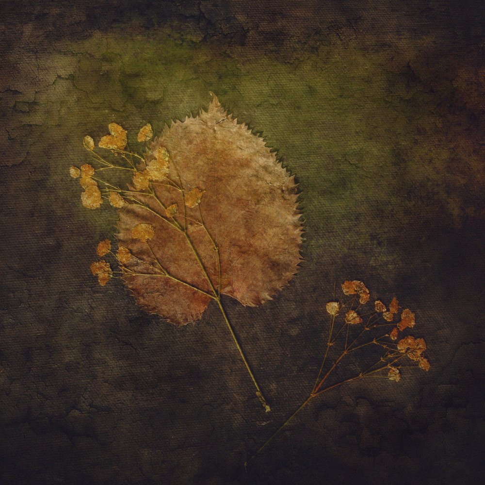 Rustikale Herbstbotanicals von Cicek Kiral