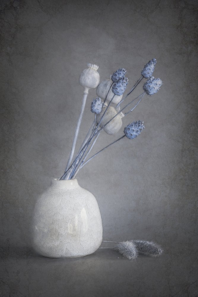 Gelassene getrocknete Blumen von Cicek Kiral