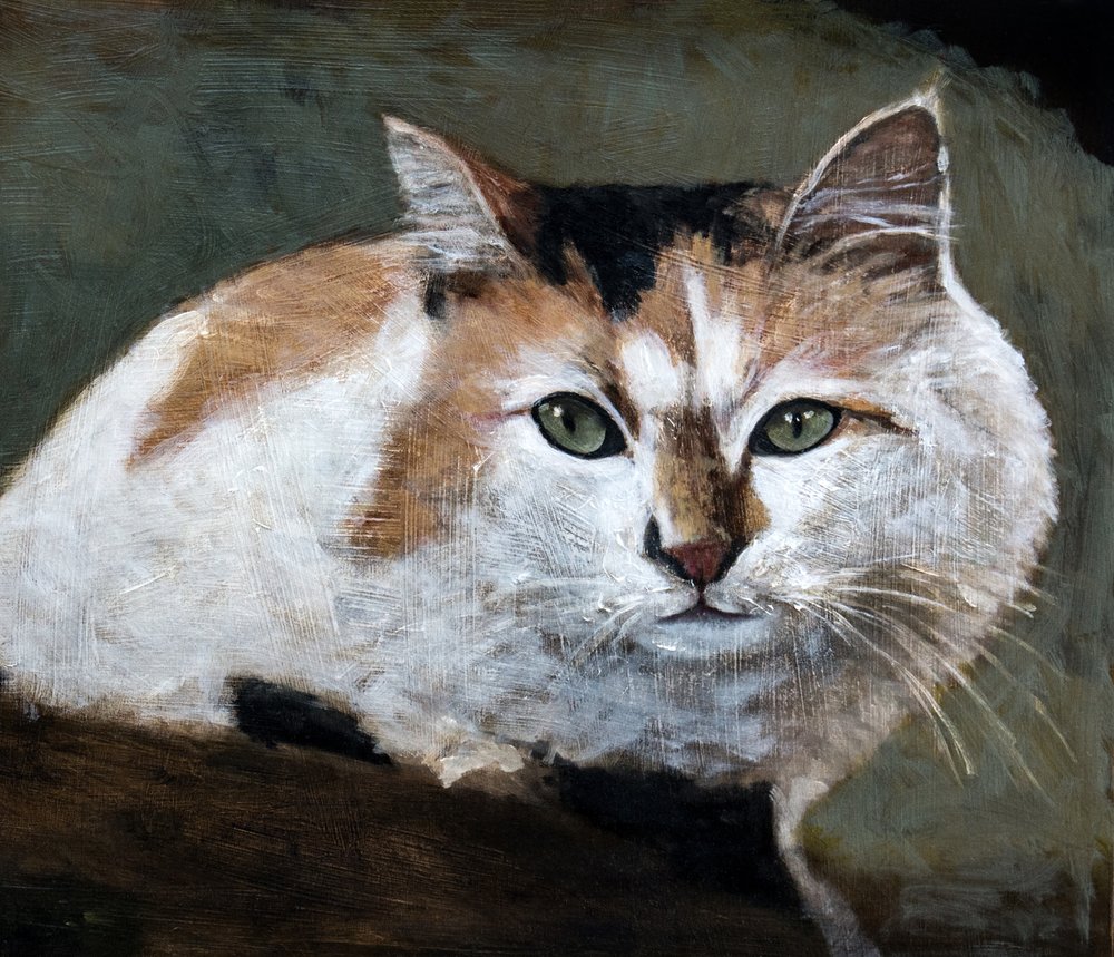 Wachsame Calico-Katze von Claire Lerner