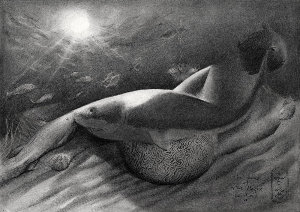 Hai und Sirene von Corné Akkers