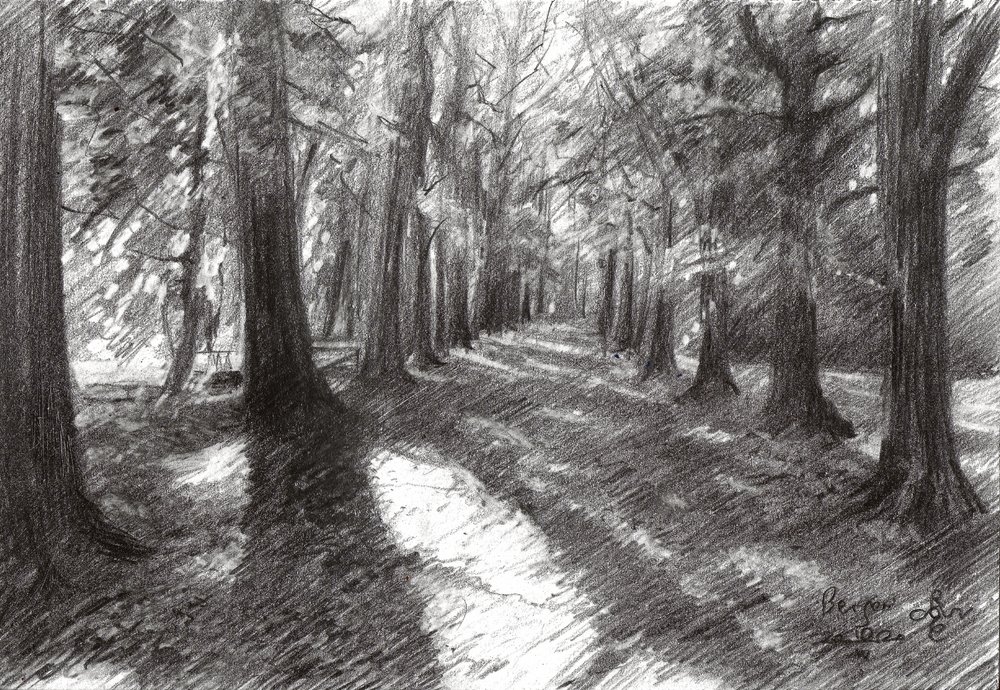 Sonniger Waldweg von Corné Akkers