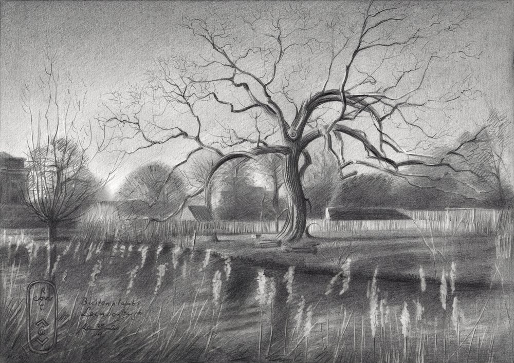Winterbaum-Reflexionen von Corné Akkers