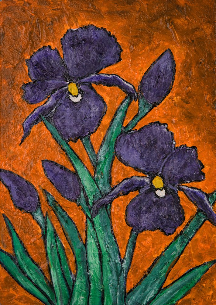 Lebendige violette Schwertlilien von Dale Hefer & Family