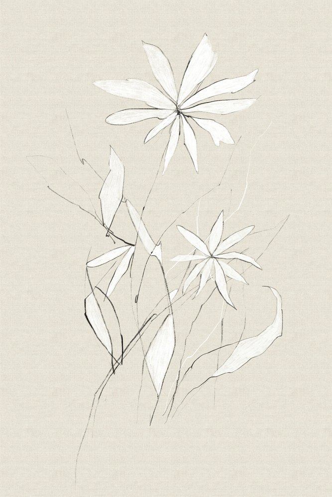 Bauernhofblume von Dan Hobday