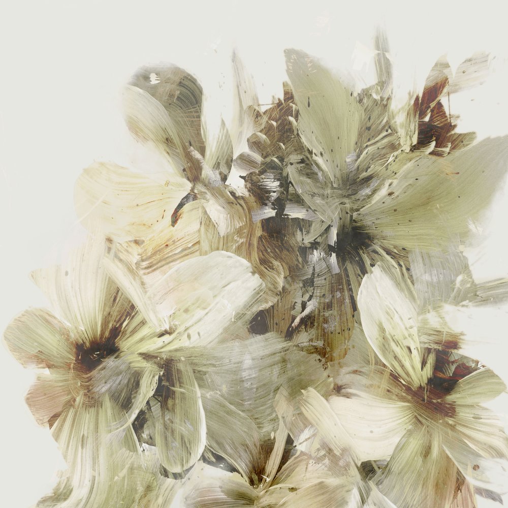 Hügelblumen von Dan Hobday