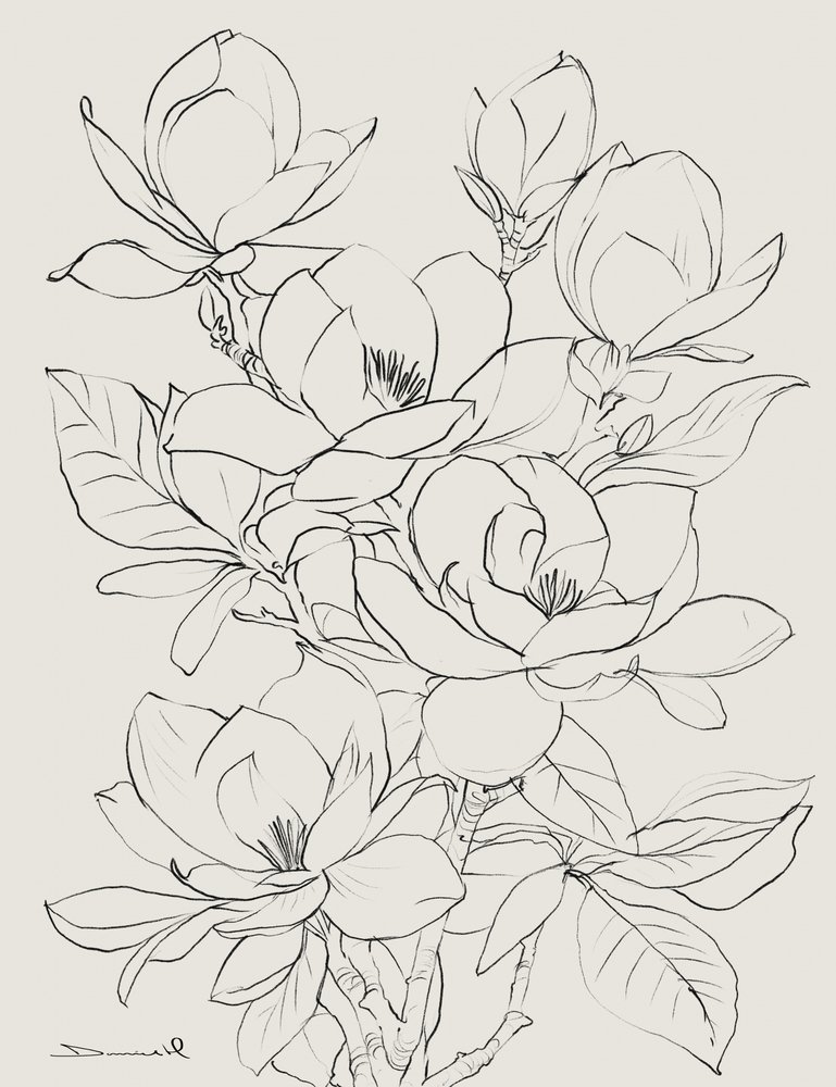 Magnolienbaum von Dan Hobday