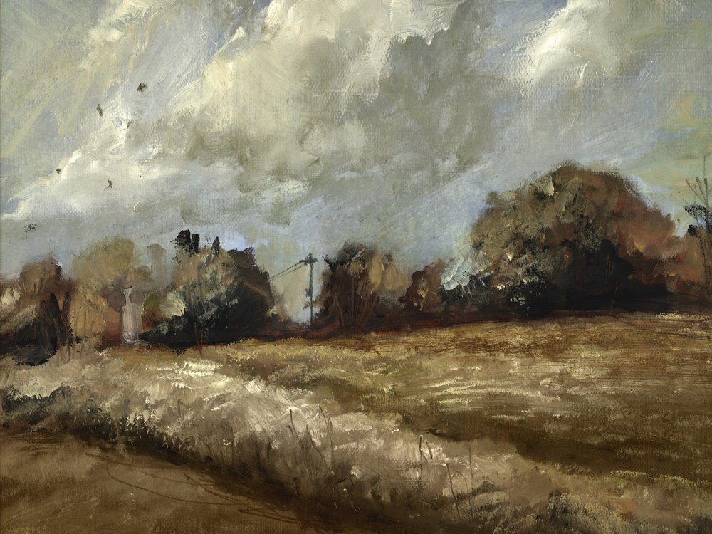 Eichenbäume von Dan Hobday