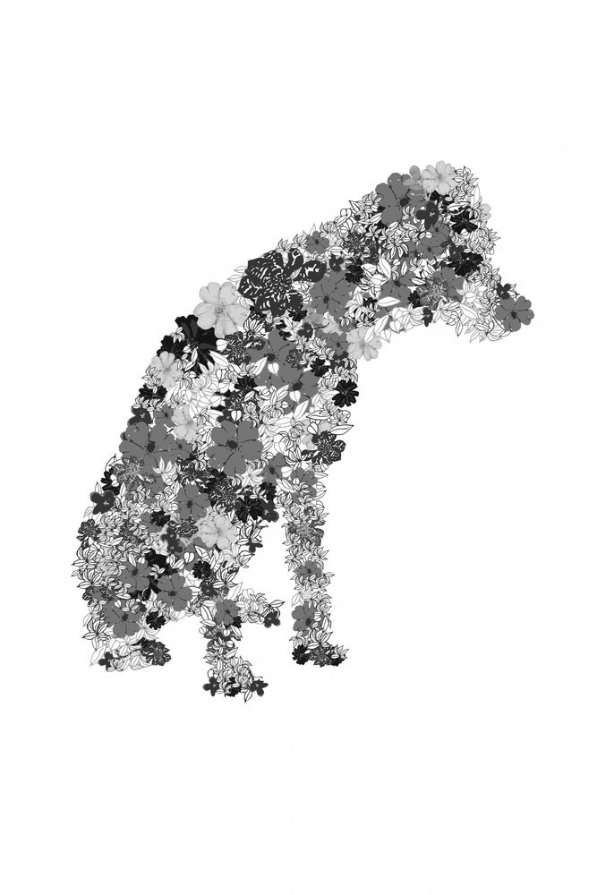 Florale Hundesilhouette von Danushka Abeygoda