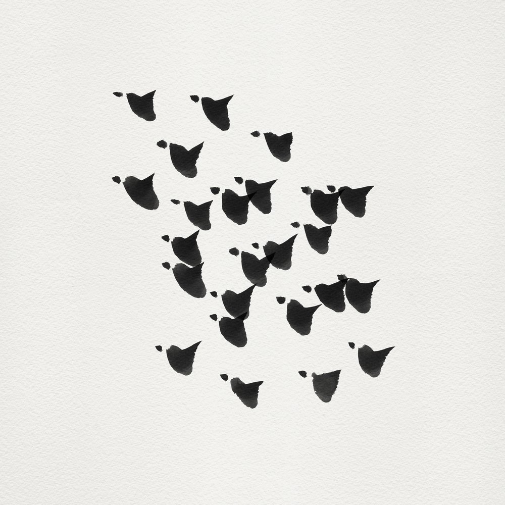 Minimalistische Vogelflug von Danushka Abeygoda