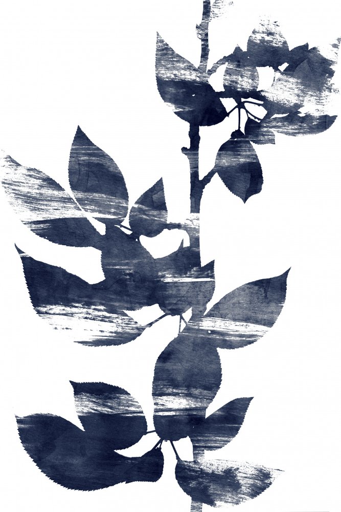 Serene Indigo-Botanicals von Danushka Abeygoda