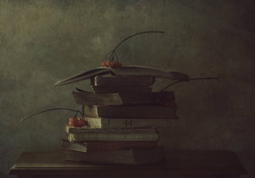 Herbstbücher und Beeren von Delphine Devos