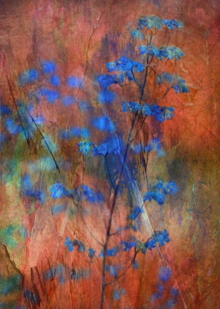 Strukturierter Blauer Blumetraum von Delphine Devos