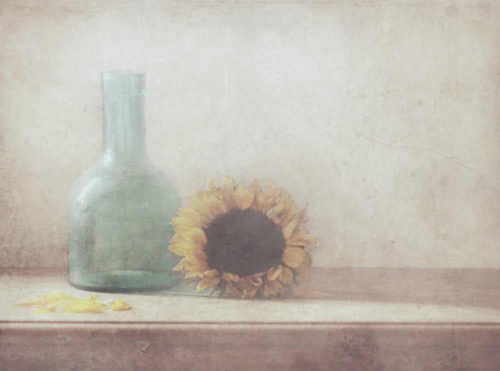 Vintage Sonnenblumen-Stillleben von Delphine Devos