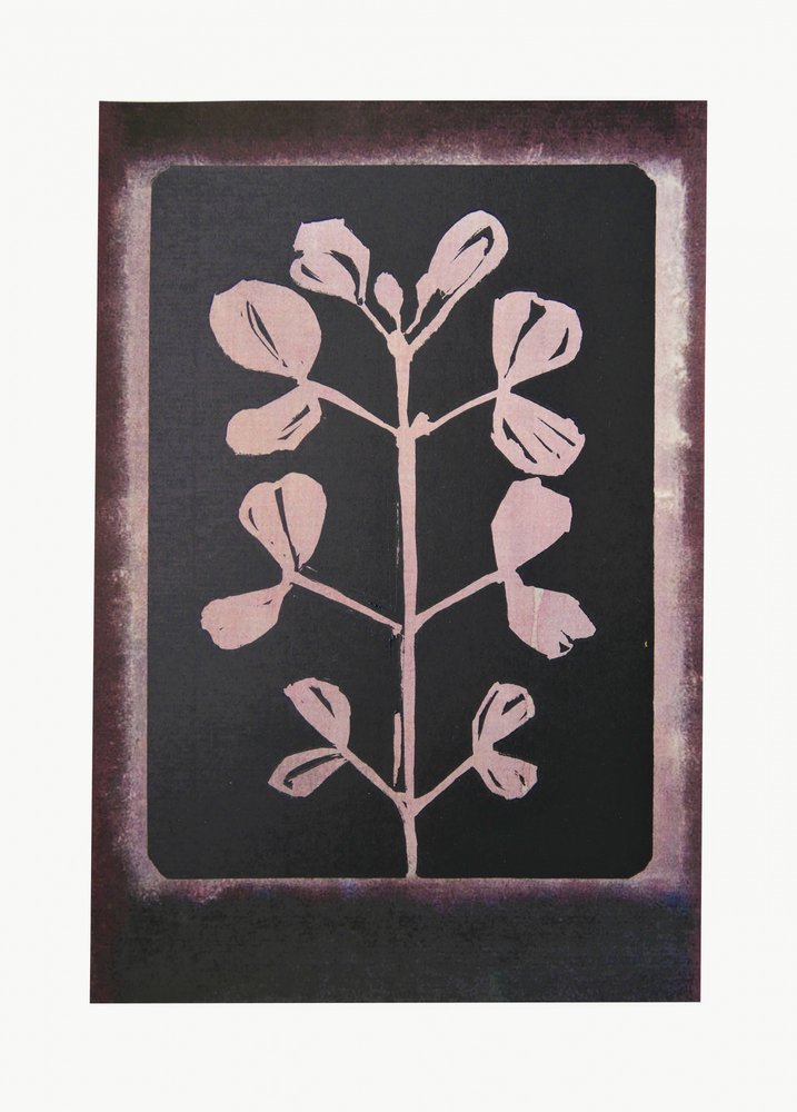 Dunkle botanische Silhouette von Doris Schmitz