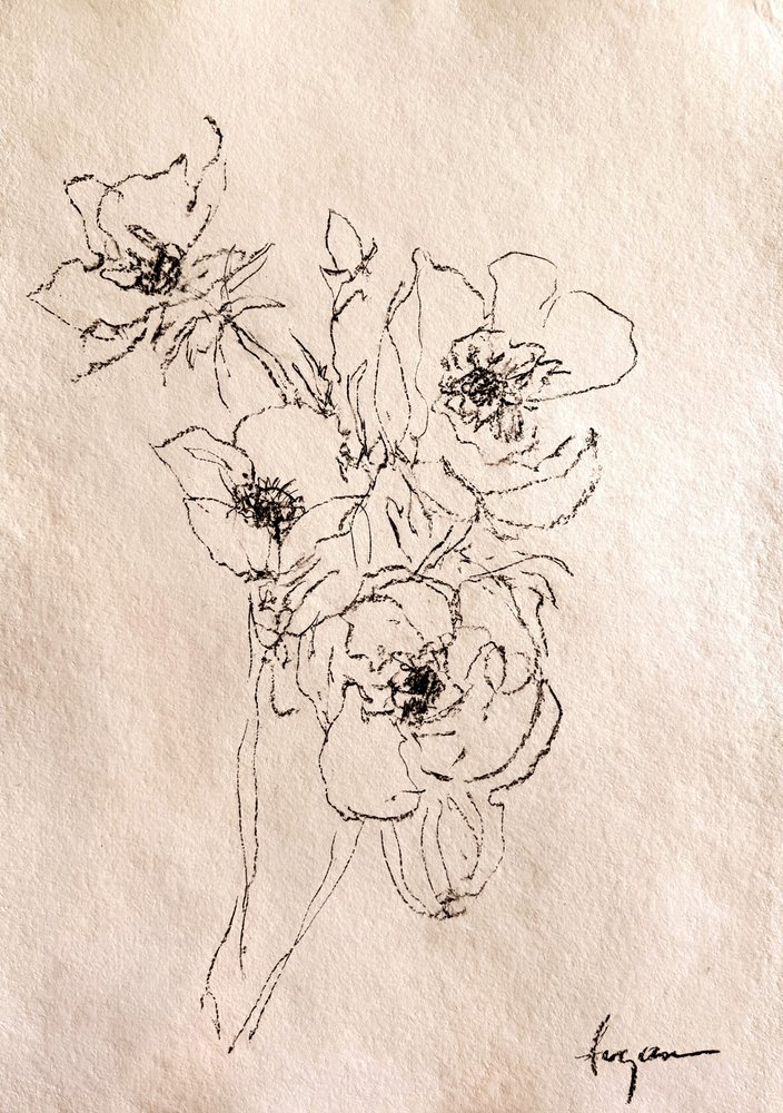 Zarte Blumenskizze von Dorothy Fagan