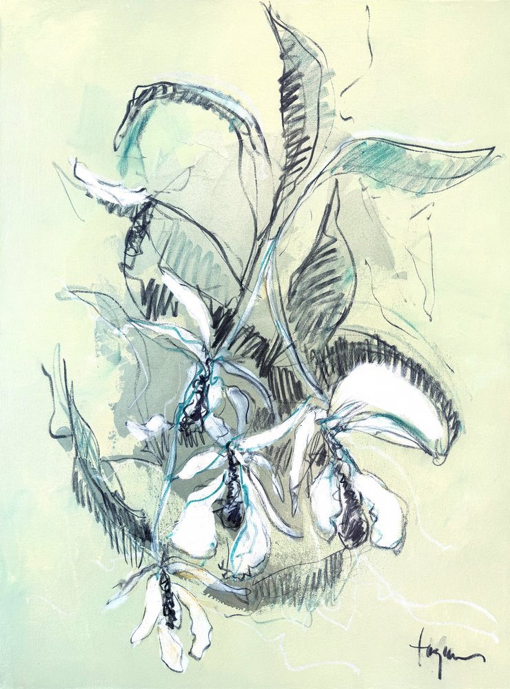 Zarte Orchideenskizze von Dorothy Fagan