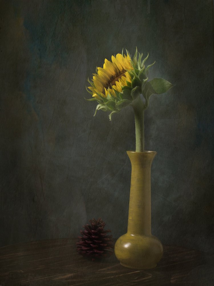 Rustikales Sonnenblumen Stillleben von EDUARDO LLERANDI