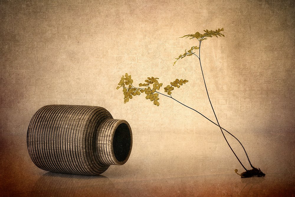 Erdige Vase und Farn von Elena Arjona