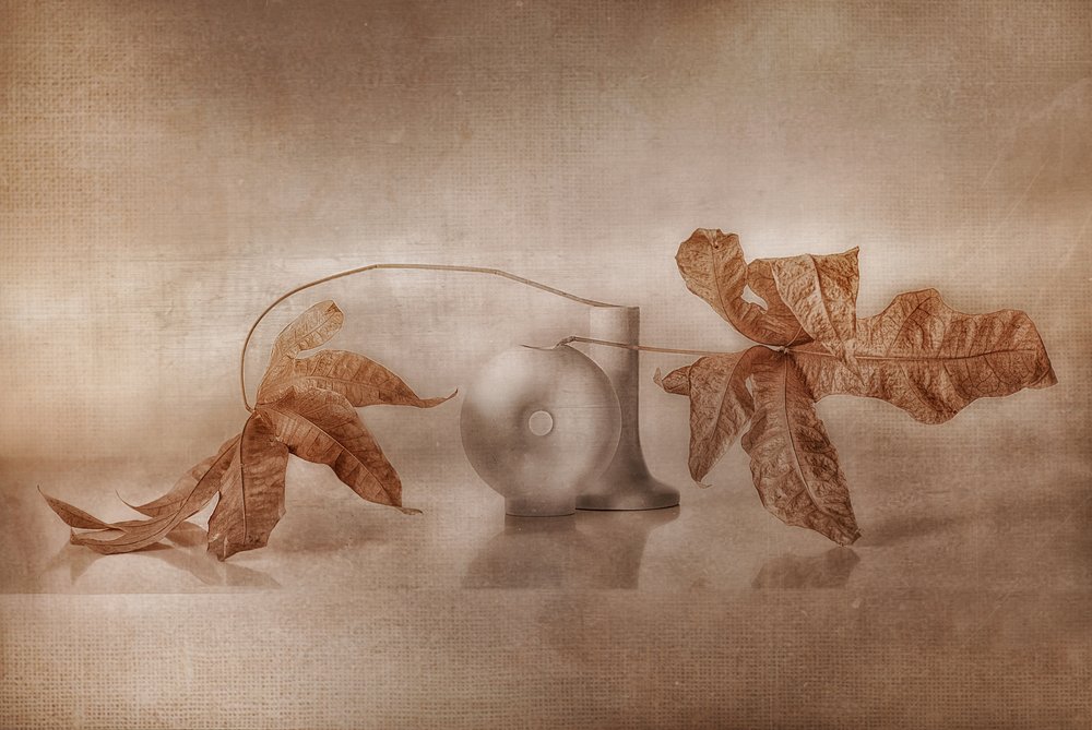 Vintage Herbstreflexion von Elena Arjona