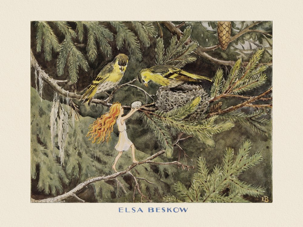 Solägget Die Vögel von Elsa Beskow