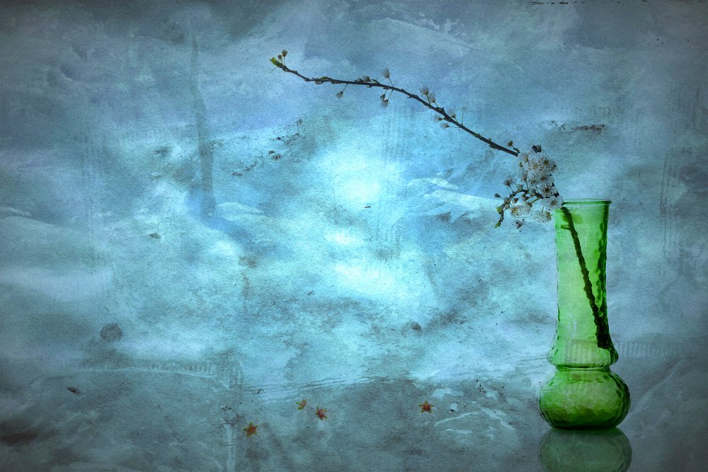 Ruhige blaue Blüten von Eyal Amer