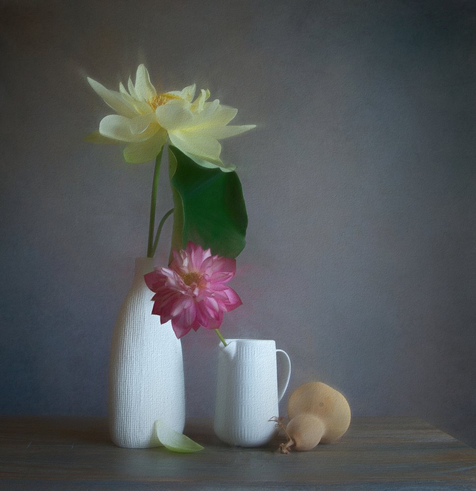 Weiches Lotus-Stillleben von Fangping Zhou