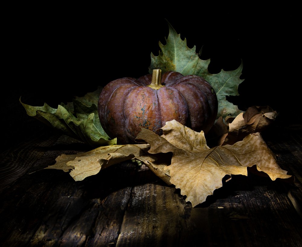 Dunkler Herbstkürbis von Felice Angelino