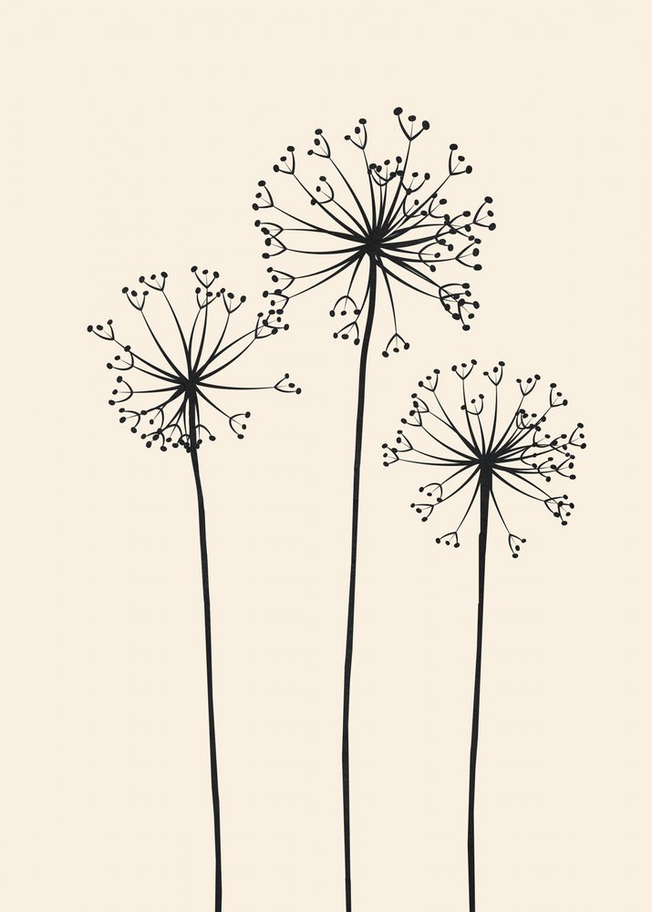 Minimalistische Löwenzahnblüten von Flow Line
