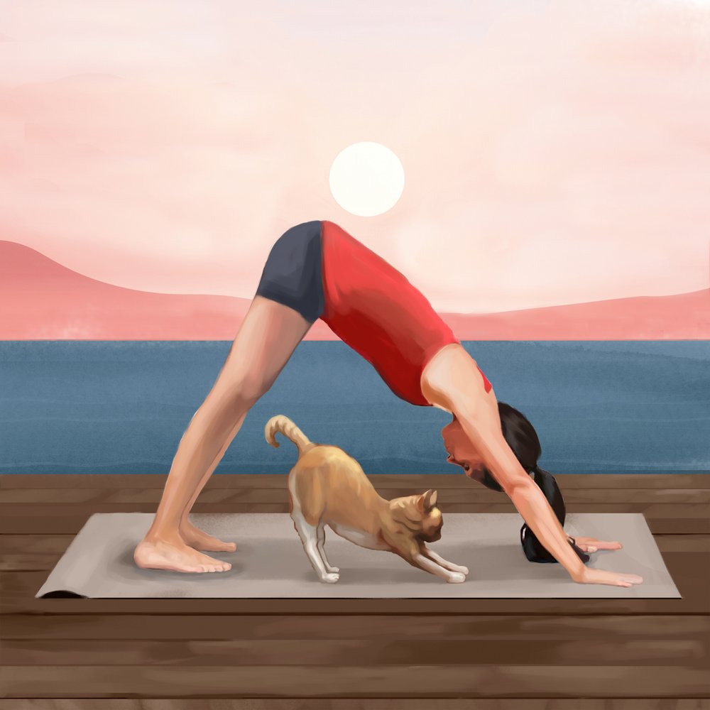 Sonnenaufgang Yoga-Katze von Flow Line