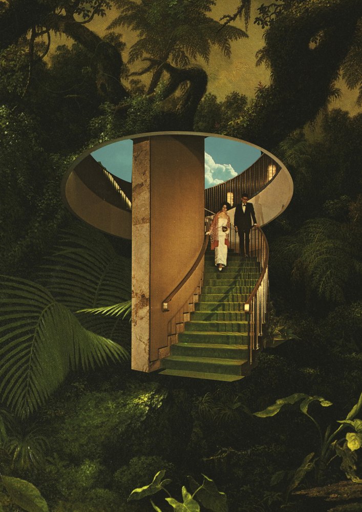 Surreale Dschungeltreppe von Fran Rodríguez