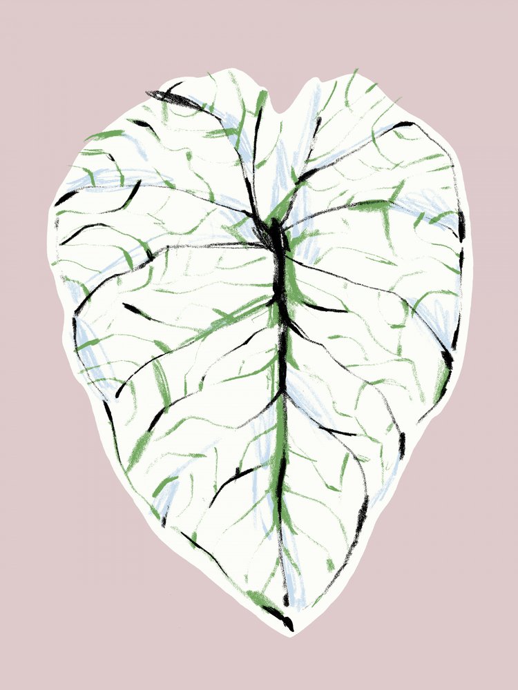 Elegantes Geädertes Blatt von Francesco Gulina