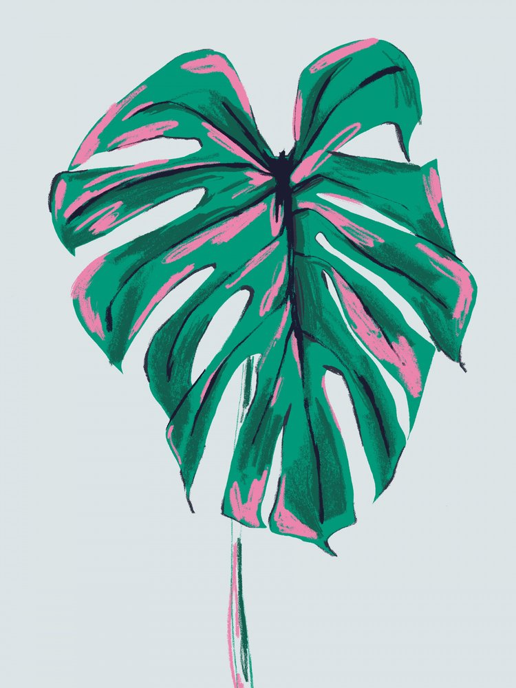 Lebendige Pink-Grüne Monstera von Francesco Gulina