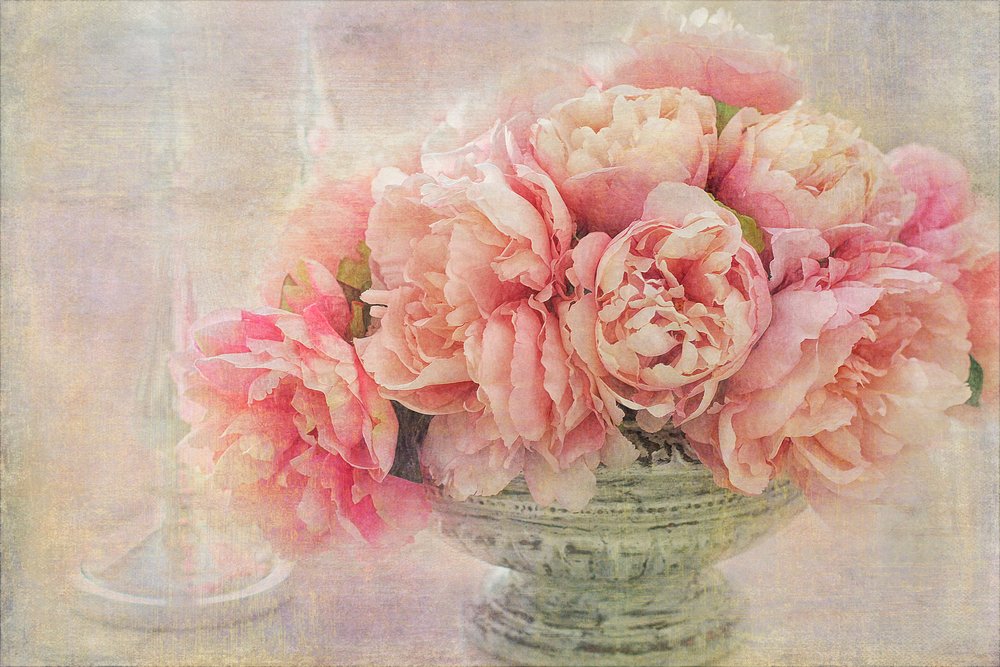 Romantische rosa Pfingstrosen von Gaille Gray