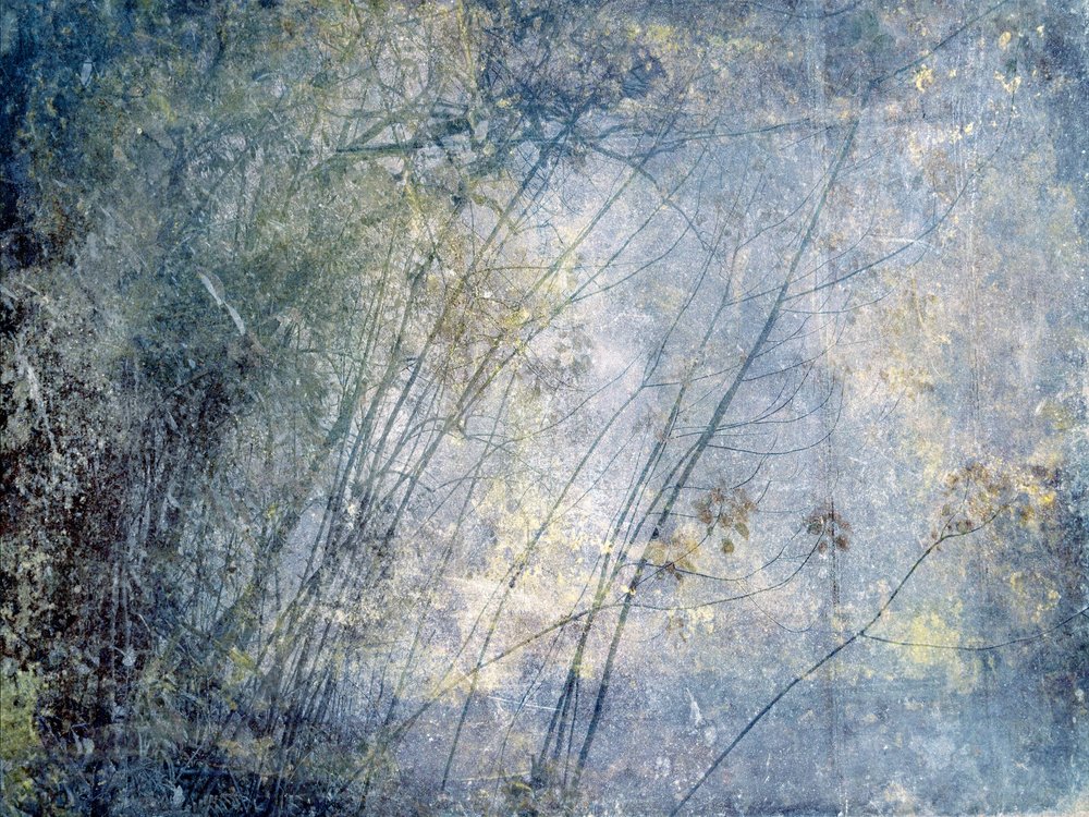 Ätherischer Winterwald von Gemma Bardot