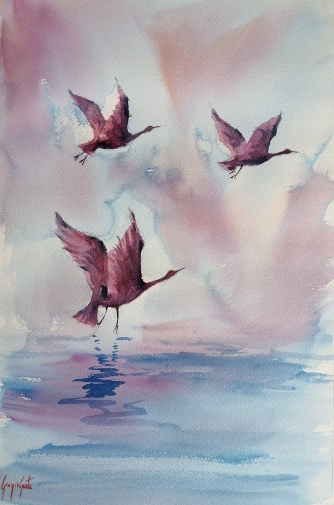 Anmutige rosa Vögel von Giorgio Gosti
