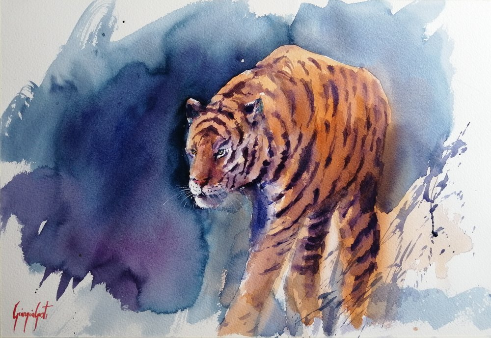 Majestätischer Tiger-Schritt von Giorgio Gosti