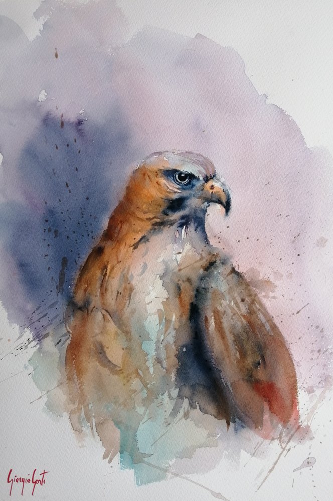 Majestätischer Aquarellfalke von Giorgio Gosti