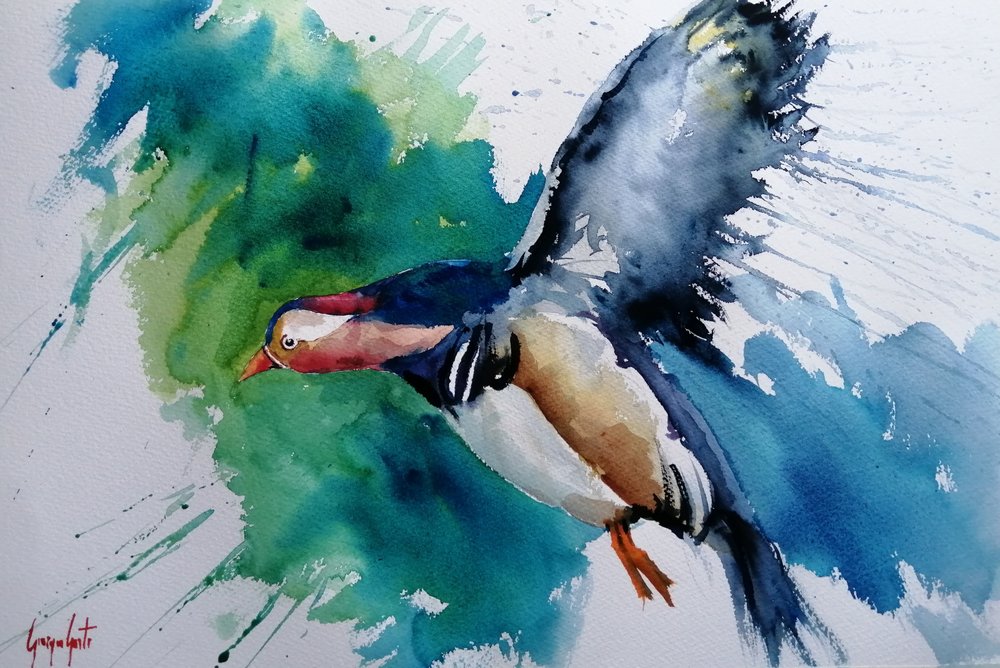 Mandarinente im Flug von Giorgio Gosti