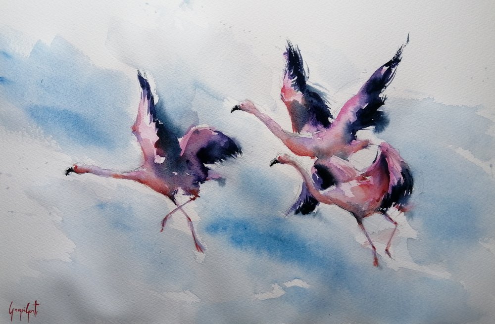 Rosafarbene Flamingos im Flug von Giorgio Gosti