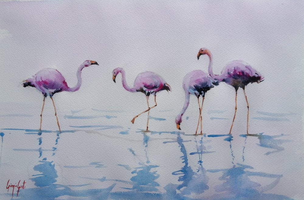 Pinkfarbene Flamingos im Wasser von Giorgio Gosti