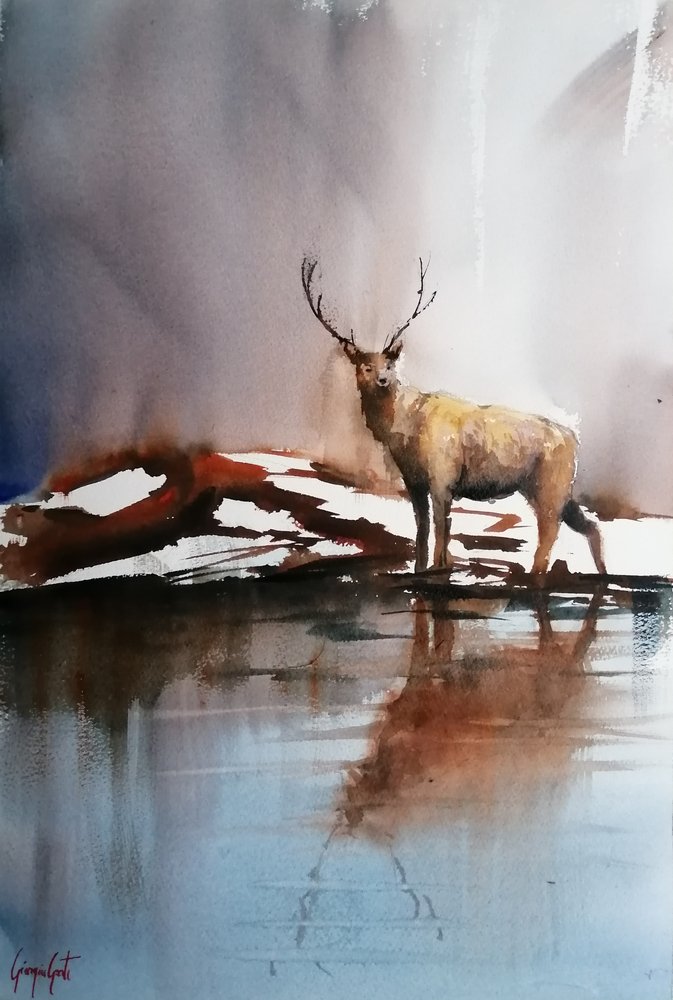 Reflektierender Winterhirsch von Giorgio Gosti