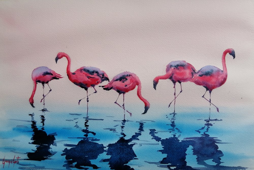 Watende Rosa Flamingos von Giorgio Gosti