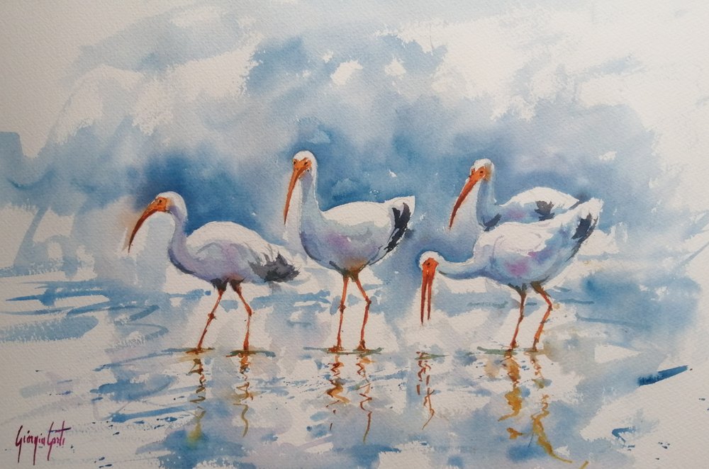 Weißer Ibis Spiegelungen von Giorgio Gosti