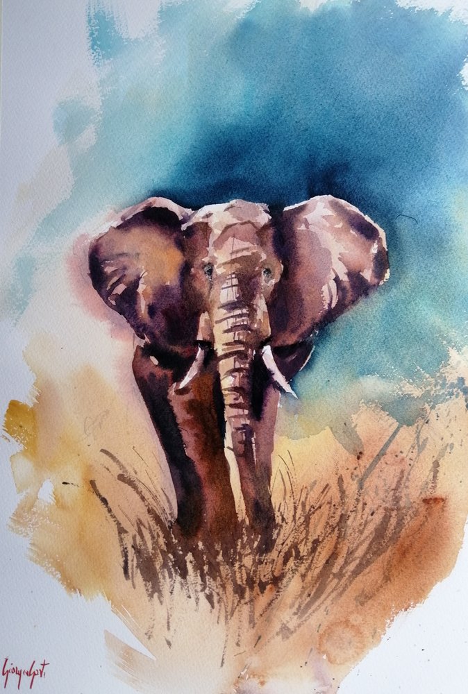 Wilder Afrikanischer Elefant von Giorgio Gosti