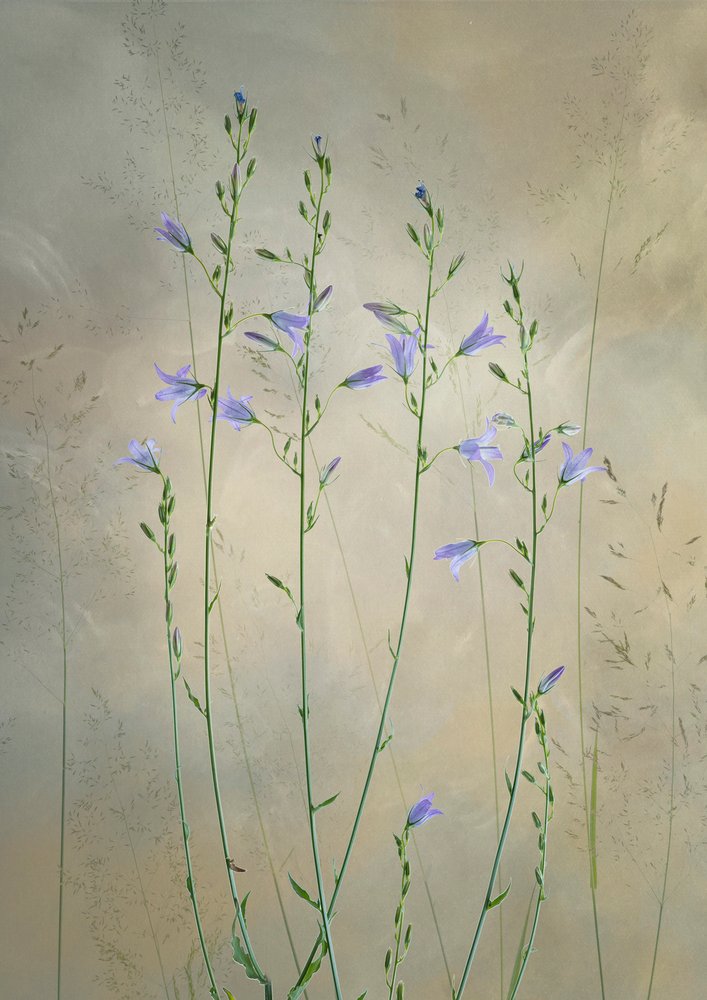 Zarte Glockenblumen von Greetje van Son