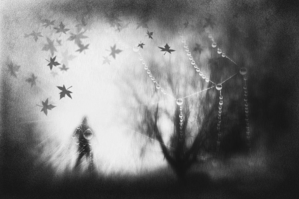 Nebliger Herbsttraum von Gustav Davidsson