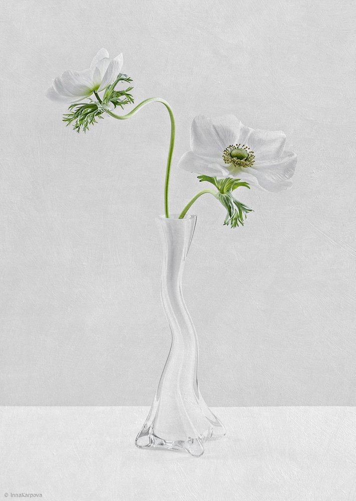Kurven von Inna Karpova