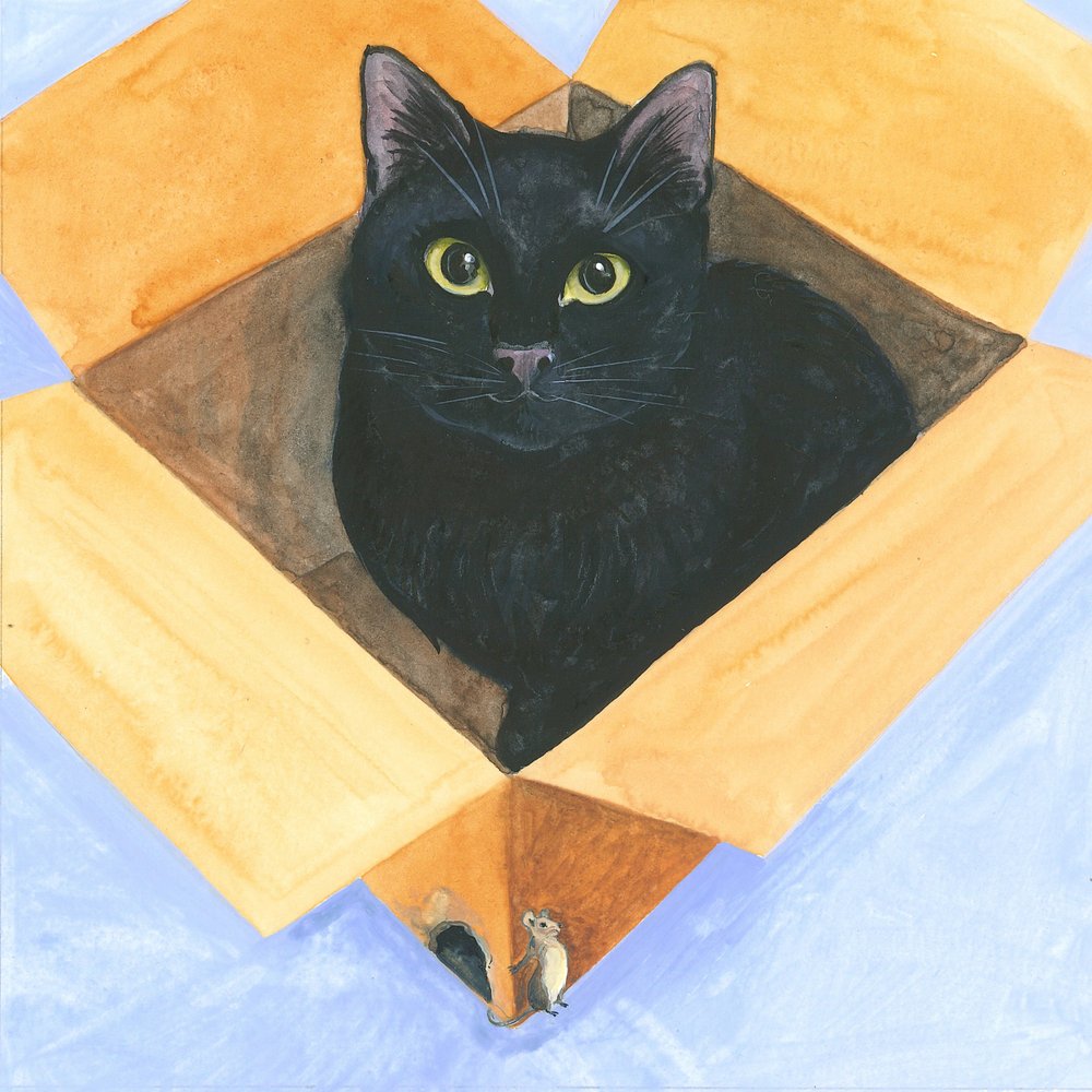 Katze in der Kiste von Isabelle Brent